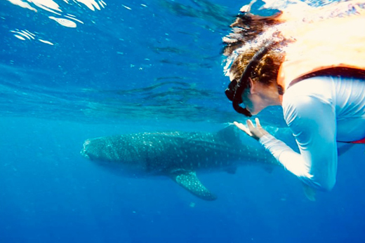 Pasión Maya Snorkel Maya 
