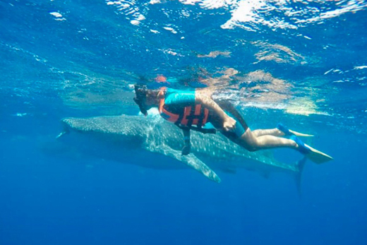 Pasión Maya Snorkel Maya 